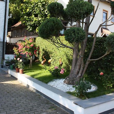 Ferienwohnung Im Gruenen 格斯韦因斯泰因 外观 照片